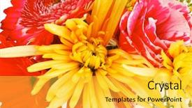  Presentation with tuberose - Audience pleasing slide deck consisting of red and orange gerbera tuberose and gold mums flowers bouquet isolated on a pure white background backdrop and a yellow colored foreground