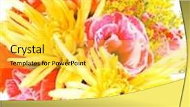  Presentation with tuberose - Presentation design enhanced with red and orange gerbera tuberose and gold mums flowers bouquet isolated on a pure white background background and a yellow colored foreground