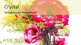 Presentation with tuberose - Beautiful slides featuring red and orange gerbera tuberose and gold mums flowers bouquet isolated on a pure white background backdrop and a blonde colored foreground