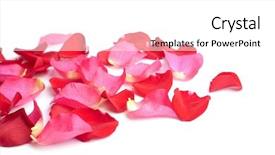  Presentation with pink rose petals - Colorful slide deck enhanced with youth - highway free - beautiful young backdrop and a coral colored foreground.