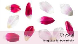  Presentation with red floral - 