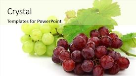  Presentation with green foliage - Colorful theme enhanced with red and white grapes backdrop and a blonde colored foreground