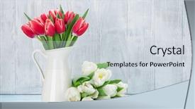  Presentation with tulip - Audience pleasing PPT layouts consisting of red and white tulips bouquet backdrop and a lemonade colored foreground