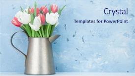  Presentation with tulips - Cool new PPT theme with red and white tulips bouquet backdrop and a sky blue colored foreground