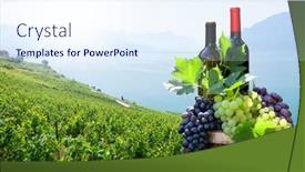  Presentation with wine barrel - PPT layouts enhanced with red-and-white-wine-bottles background and a sky blue colored foreground