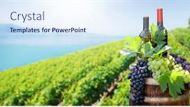  Presentation with lake front - PPT theme with red-and-white-wine-bottles background and a sky blue colored foreground