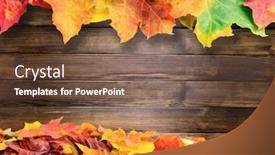  Presentation with yellow wood - Colorful presentation theme enhanced with red and yellow autumn colored fall leaves on dark old wood background with copy space backdrop and a tawny brown colored foreground