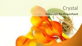  Presentation with white flowers - Slide deck consisting of red-and-yellow-calla-lilies background and a blonde colored foreground