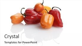  Presentation with chili - Colorful PPT theme enhanced with red and yellow habanero backdrop and a white colored foreground