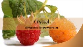  Presentation with yellow color - Beautiful theme featuring rasberries - color photo of pile backdrop and a  colored foreground