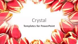  Presentation with flower border - Cool new presentation theme with charming seven year old boy in red santa claus hat cheerfully smiles photo executed on a white background backdrop and a coral colored foreground