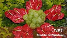  Presentation with tropical leaves and flowers - Amazing presentation theme having red anthurium flowers with green backdrop and a tawny brown colored foreground