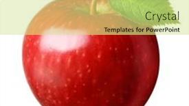  Presentation with fruit - Cool new PPT theme with red-apple-fruit-isolated backdrop and a soft green colored foreground