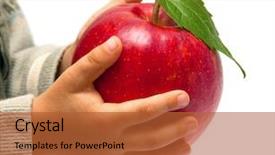  Presentation with children hands - Colorful presentation enhanced with red apple in the children's hands isolated on white background backdrop and a red colored foreground