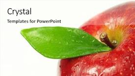  Presentation with red apple tree - Audience pleasing slides consisting of red apple macro shot low backdrop and a cream colored foreground