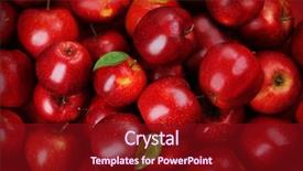 Presentation with red apple tree - Slide set featuring red apples background background and a crimson colored foreground