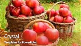  Presentation with bio - PPT theme with red-apples-in-the-basket background and a crimson colored foreground