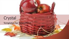  Presentation with barn wood autumn apples - PPT theme with red apples in wood basket background and a  colored foreground