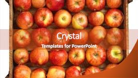 Presentation with box - Theme having red apples in wooden box background and a crimson colored foreground