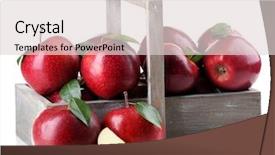  Presentation with barn wood autumn apples - Amazing PPT theme having red apples in wooden crate backdrop and a lemonade colored foreground