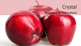  Presentation with apple - Amazing PPT layouts having red apples isolated on white backdrop and a coral colored foreground
