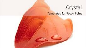  Presentation with water leaf - Colorful PPT layouts enhanced with red autumn leaf with water drop isolated backdrop and a lemonade colored foreground