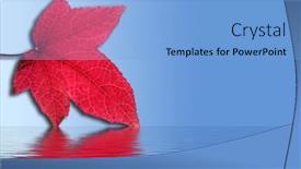  Presentation with water ripple - Presentation theme with red autumn leaf background and a light blue colored foreground