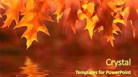  Presentation with reflecting - Presentation theme having red autumn leaves reflecting in the water background and a tawny brown colored foreground