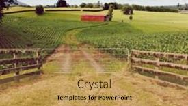  Presentation with barn - Amazing PPT theme having red barn in corn field backdrop and a gold colored foreground