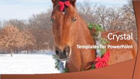 Presentation with christmas red - Theme enhanced with red bay horse wearing background and a red colored foreground