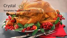  Presentation with sage - Beautiful presentation featuring red berries and sage backdrop and a coral colored foreground