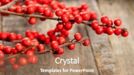  Presentation with holly - Beautiful slide deck featuring red berries holly on wooden background backdrop and a coral colored foreground