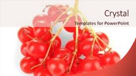  Presentation with berries - PPT layouts having red-berries-of-viburnum-isolated background and a lemonade colored foreground