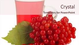  Presentation with tea cup - PPT theme having red-berries-of-viburnum background and a lemonade colored foreground