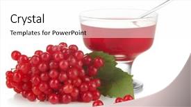  Presentation with jam - Amazing slide deck having red-berries-of-viburnum backdrop and a white colored foreground