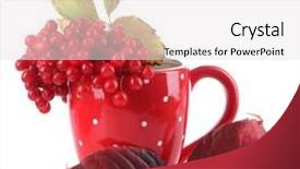  Presentation with berries - Colorful presentation design enhanced with red-berries-of-viburnum backdrop and a white colored foreground