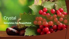  Presentation with berries - Slide deck having red berries of viburnum in basket and chestnuts on wooden table on green background background and a tawny brown colored foreground