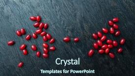  Presentation with dogwood - PPT layouts featuring red berries ripe dogwood background and a wine colored foreground