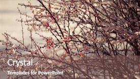  Presentation with berries - PPT theme consisting of production of beer in factory background and a ocean colored foreground