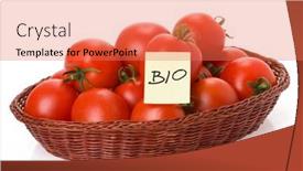  Presentation with bio - Presentation theme consisting of red-bio-tomatoes-in-basket background and a  colored foreground