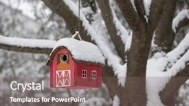  Presentation with snow tree - PPT layouts featuring red bird house hanging outdoors background and a gray colored foreground