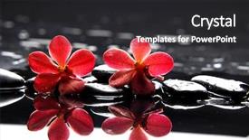  Presentation with spa concept - Presentation having red black - studio shot of spa background and a dark gray colored foreground