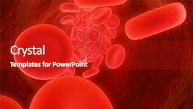  Presentation with blood cell - Audience pleasing presentation consisting of red blood cells backdrop and a crimson colored foreground