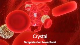  Presentation with blood cell - Presentation design consisting of red blood cells background and a crimson colored foreground