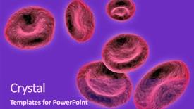  Presentation with blood cancer - Beautiful slides featuring red blood cells backdrop and a violet colored foreground