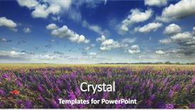  Presentation with poppies - Presentation with red blue - beautiful view of a field background and a tawny brown colored foreground