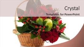  Presentation with purple festive christmas red - Colorful presentation theme enhanced with red bouquet of christmas flower backdrop and a soft green colored foreground