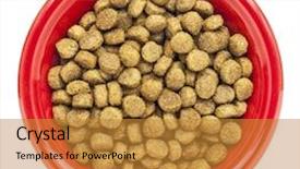  Presentation with dog food - Amazing theme having red bowl of dry dog backdrop and a gold colored foreground