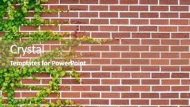  Presentation with red brick wall - Slides enhanced with red brick wall and green ivy background background and a coral colored foreground