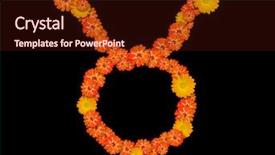  Presentation with zodiac - Slide deck with red bull images - taurus sign of the zodiac background and a wine colored foreground